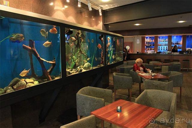 Отель 50/50. Удобное расположение к центру города и транспорту.