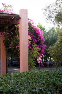 фото Candia Park Village