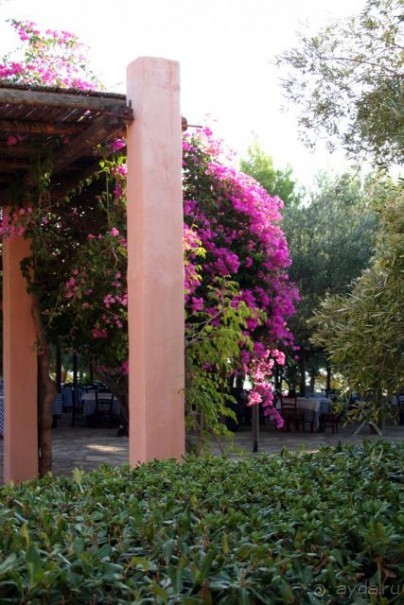 фотогаллерея по отелю http://www.pbase.com/ladytanya/travels