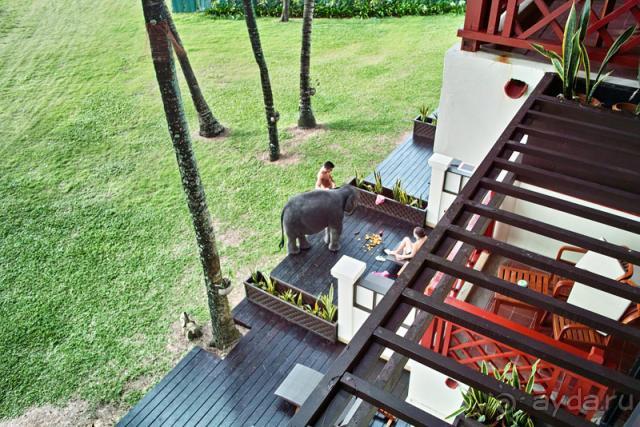 Тихое счастье на Пхукете