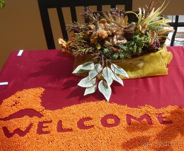 фото Camyuva Beach