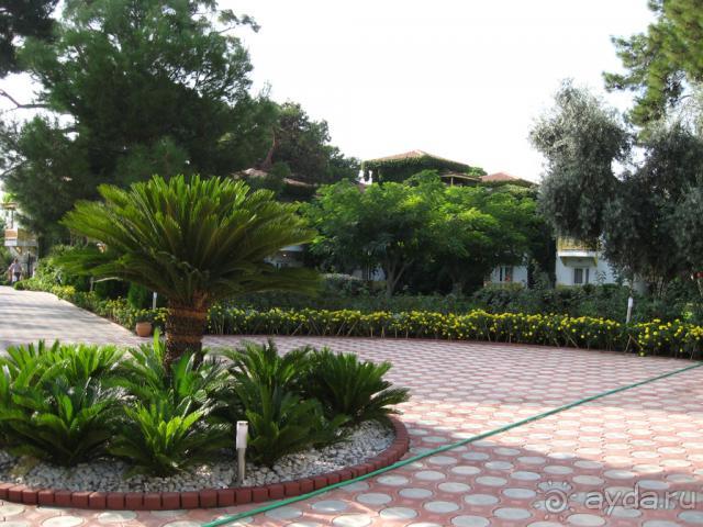 фото Club Marco Polo