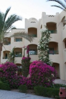 Отличный отель!