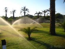 вид территории