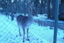 Каждому свое..., НО НАМ ПОНРАВИЛОСЬ!!!