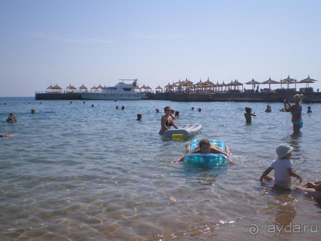 фото Роза Ветров