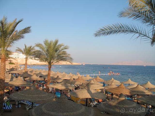 фото Island garden resort