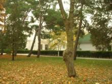 фото Dobedan Beach Resort Comfort