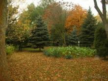 фото Dobedan Beach Resort Comfort