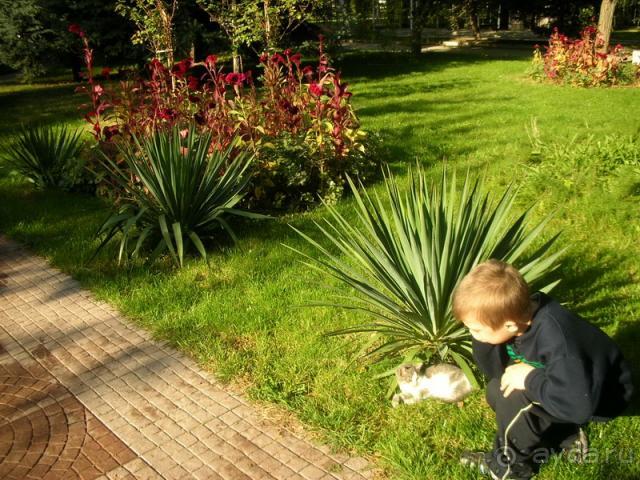 Толковый отдых для тех, кто следит за здоровьем.