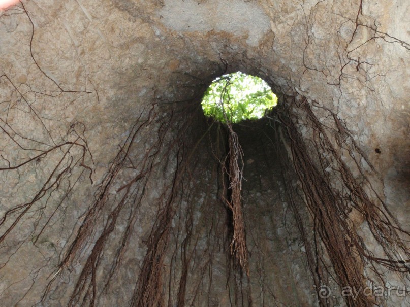 Дубаи 2015. Покупка шубы, шопинг, экскурсии. Отзыв и практические советы. Дубаи 2015. Покупка шубы, шопинг, экскурсии. Отзыв и практические советы.