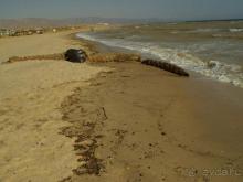 Отель Regina Nuweiba