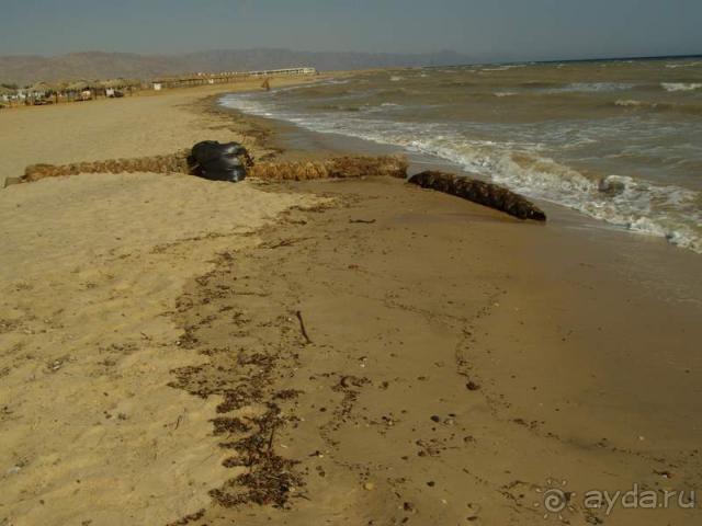 Отель Regina Nuweiba