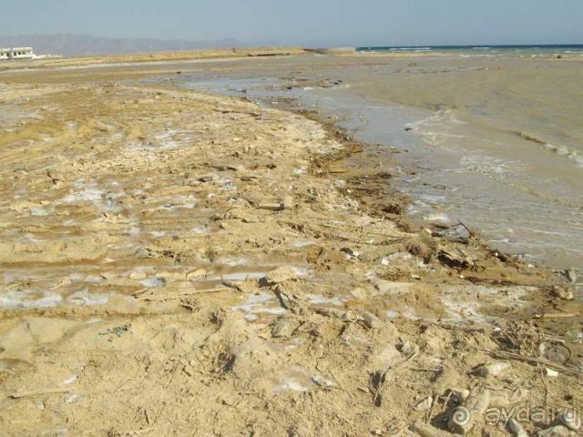 Отель Regina Nuweiba