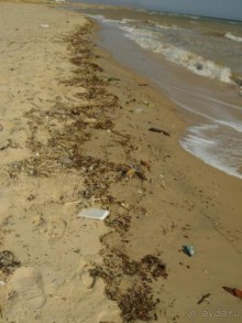 Отель Regina Nuweiba