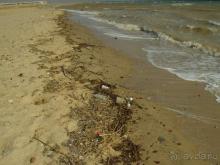 Отель Regina Nuweiba