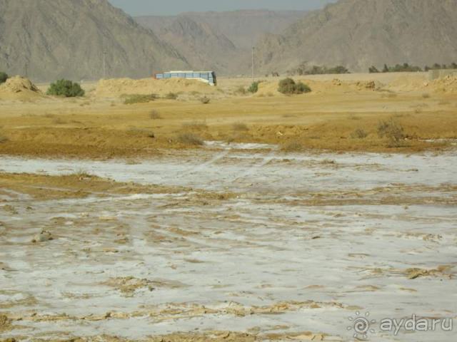 фото Golden Tulip Taj Sultan Resort