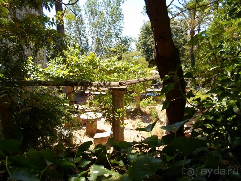 сад в поместье