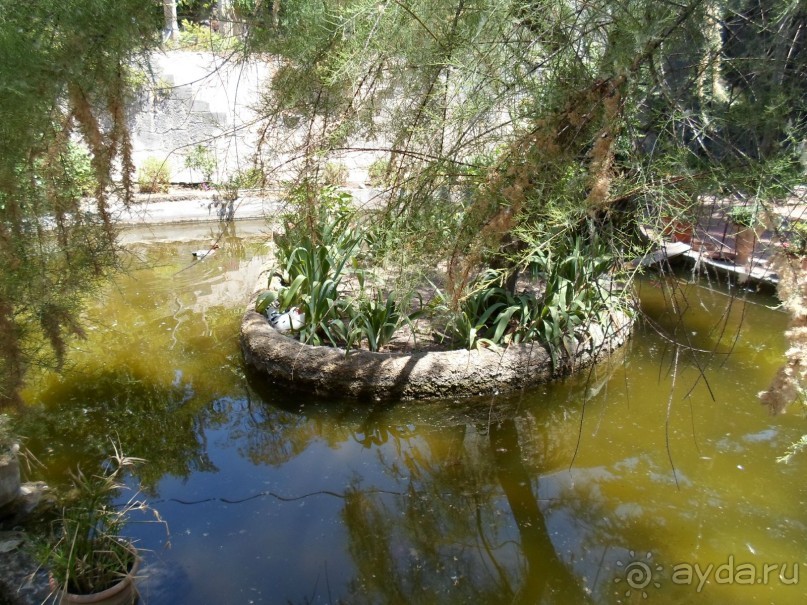 Сад в поместье