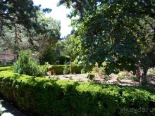 Вальдемосса