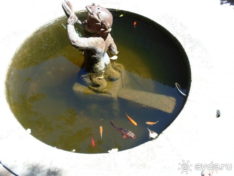 Вальдемосса