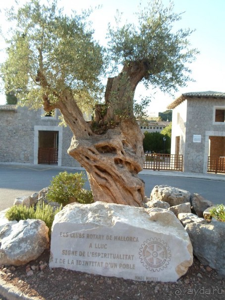 Монастырь Люк