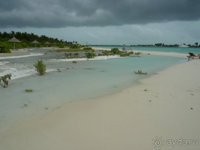 фото Paradise Island Resort & Spa