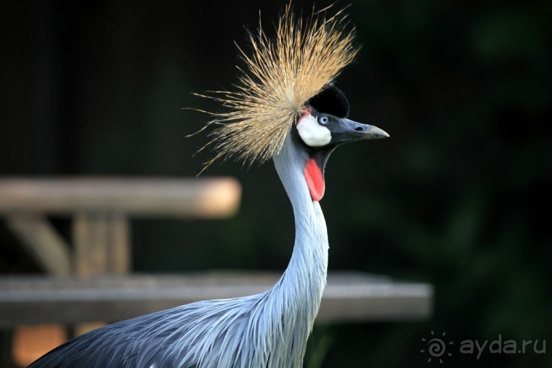 Владивосток-2014