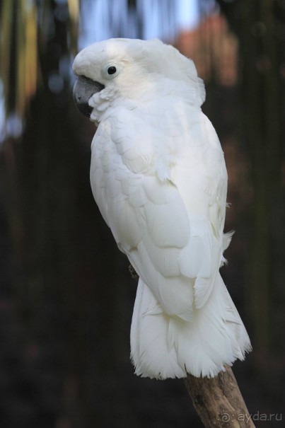 Необычные бассейны мира