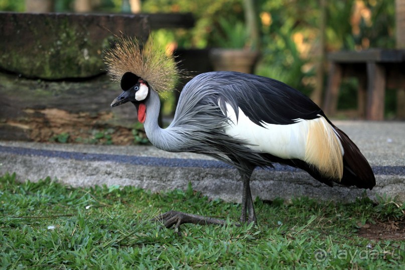 Владивосток-2014