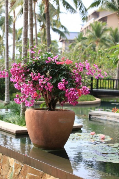 Hilton Sanya - отличный отель!