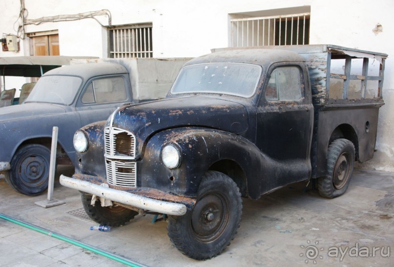 Живая Бразилия.2/2.Штат Mato Grosso do Sul. Pantanal Живая Бразилия.2/2.Штат Mato Grosso do Sul. Pantanal
