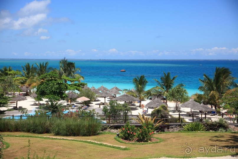 Бразилия по-простому. 1. Игуасу (Парк птиц).