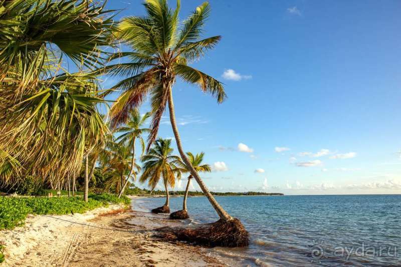 Изысканный отель для релакса и уединения