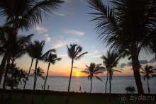 фото Tortuga Bay Puntacana Resort & Club