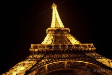 Изящная и грациозная!