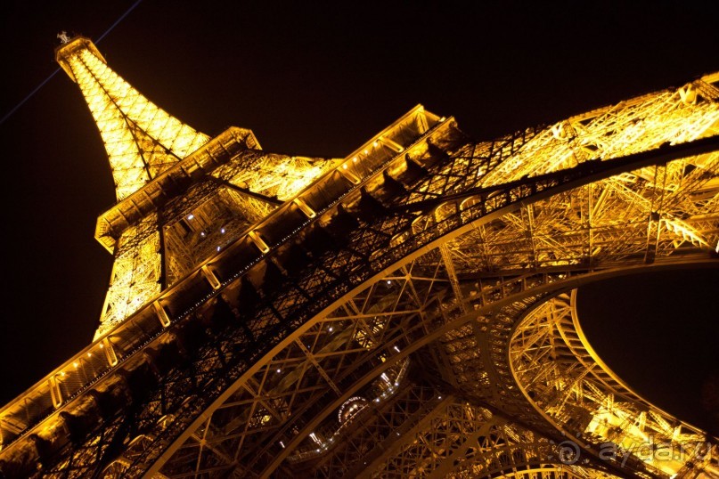 Изящная и грациозная!