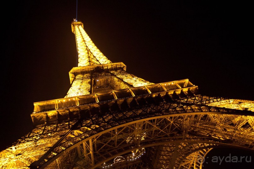 Изящная и грациозная!