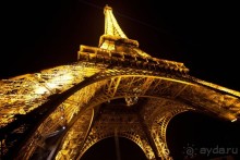 Изящная и грациозная!