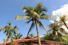 Anantara - отель очень хорошего уровня