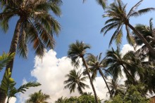 Anantara - отель очень хорошего уровня