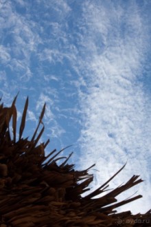 Anantara - отель очень хорошего уровня