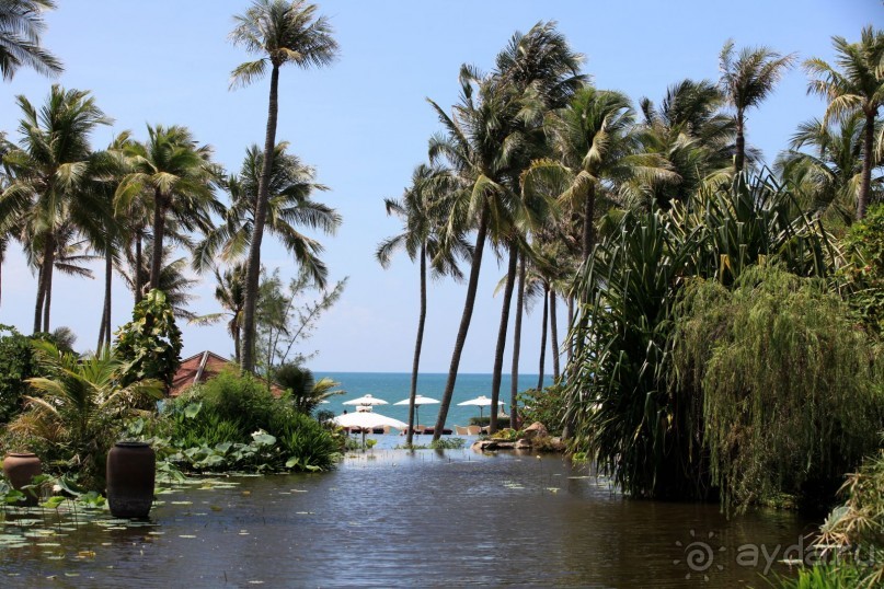 Anantara - отель очень хорошего уровня