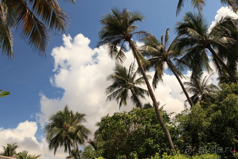 Anantara - отель очень хорошего уровня