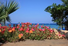 фото Sunrise Beach