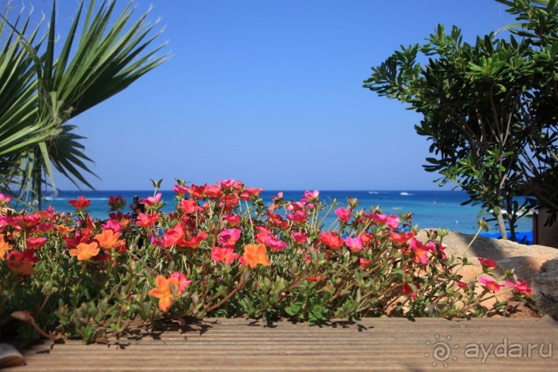 Один из лучших отелей Протараса