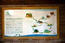 Отличное место, чтобы отправиться на поиски приключений!