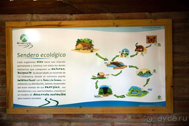 Отличное место, чтобы отправиться на поиски приключений!