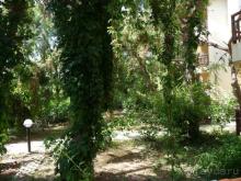 фото Justiniano Club Park Conti