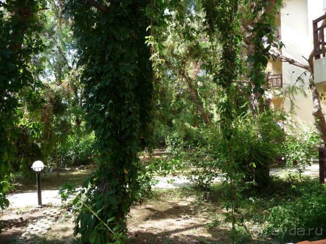 фото Best San Diego